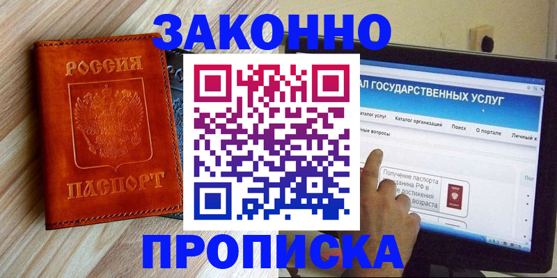 прописка гарантия в Нововоронеже